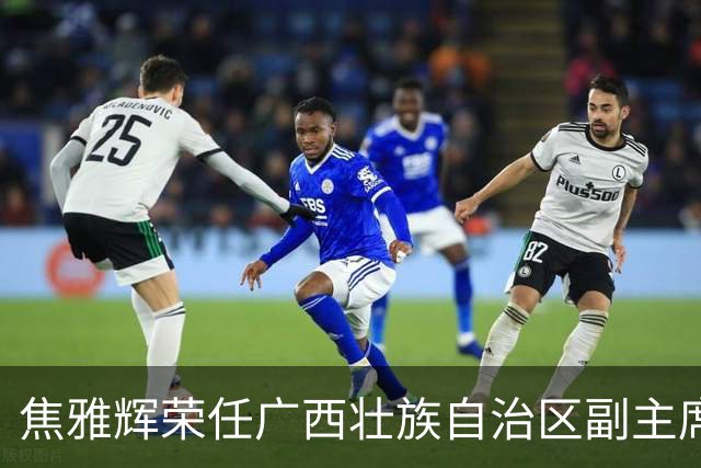 焦雅辉荣任广西壮族自治区副主席